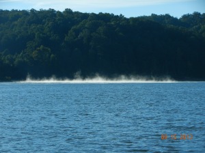 Out on the lake, the little bays had a layer of fog flowing out of them and onto the lake,  Looked like a  layer of snow or ice with the sun shining on them. 